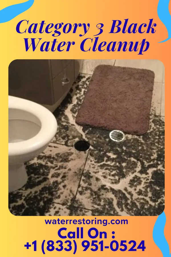 Category 3 Black Water Cleanup in Enterprise, NV