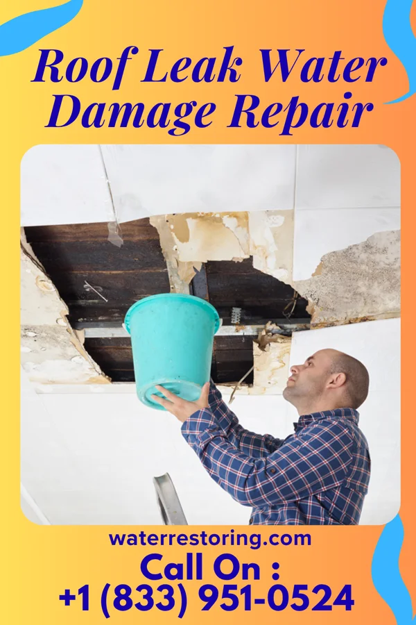 Roof Leak Water Damage Repair in Enterprise, NV